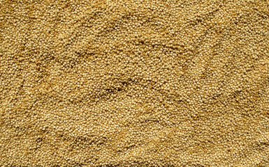 Background made of quinoa raw seeds. Top view. Texture of fresh quinoa.