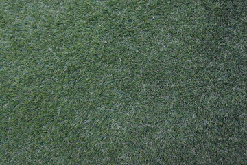 green carpet texture