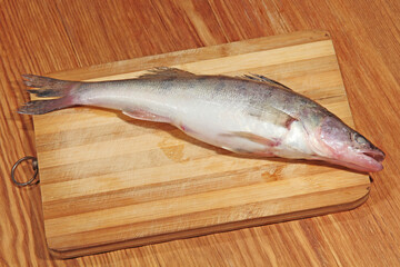 Pike perch fish of Azov sea on wooden cutting board.