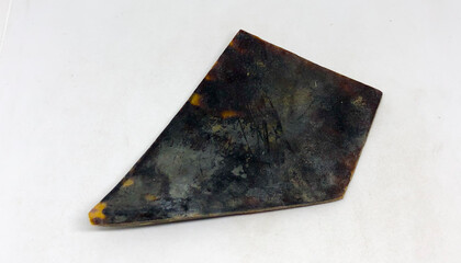 Pressed tortoise shell