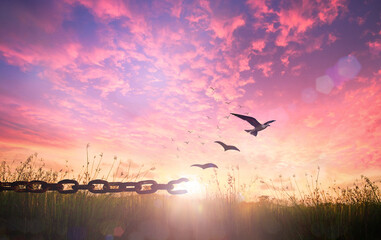 World freedom day concept: Silhouette of bird flying and broken chains at autumn meadow sunrise...