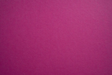 Magenta color wall texture background. Pink wall texture backdrop design. Purple or red backdrop and copy space