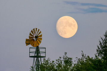 Windmill Moonrise