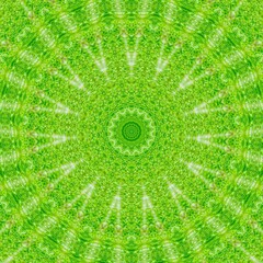 Green abstract leaf backgroudn with mandala shape