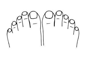 Simple hand-drawn vector drawing in black outline. Two feet top view, toes, nails, pedicure.