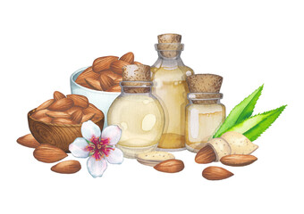 Watercolor glass bottles of the essential oil decorated with almond nuts, leaves and flowers