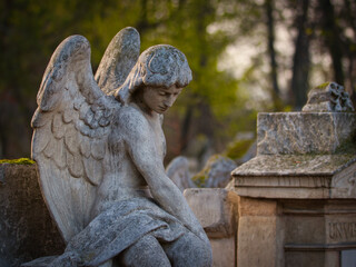 Der historische Friedhof St. Marx in Wien