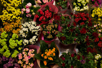 many flowers in pots close up. Flowers. Festive bouquet. Flowers in the store.