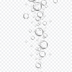 Bubbles in water on transparent background. Bubbles in water for wallpaper, texture background and pattern template. Water bubbles, vector background