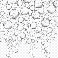 Bubbles in water on transparent background. Bubbles in water for wallpaper, texture background and pattern template. Water bubbles, vector background