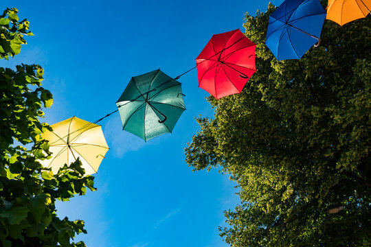 colorful umbrella's hanging as garland between trees. Against blue sky