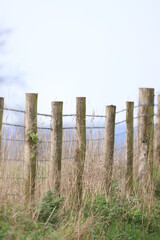 Fototapeta premium Pasture fence
