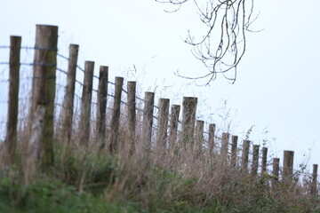 Pasture fence
