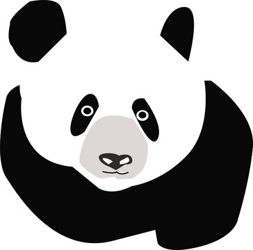 Panda vector logo illustration. Panda's head. Animal face. Chinese bear type bamboo bear logo. Carnival symbol. Funny pictures.