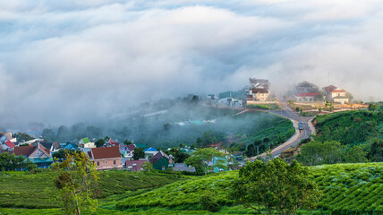 Many houses in in the mist in the morning. Early morning fog and mist burns off over large houses nestled in green rolling hills