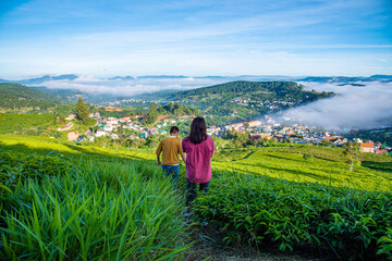 Beautiful highland tea plantations in Cau Dat at Lam Dong province. This is one of the famous tourist attraction at Da Lat, Viet Nam.
