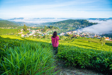 Fototapeta na wymiar Beautiful highland tea plantations in Cau Dat at Lam Dong province. This is one of the famous tourist attraction at Da Lat, Viet Nam.