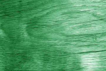 Old green oak board texture as background.