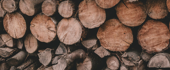 Texture of stacked neat firewood horizontal photo