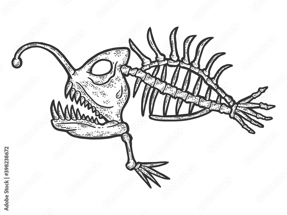 Wall mural The skeleton of a deep sea fish, a predator. Engraving raster illustration.