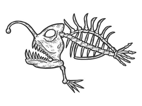 The skeleton of a deep sea fish, a predator. Engraving vector illustration.