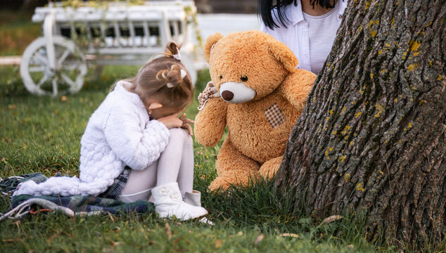 teddy bear cheers up the child