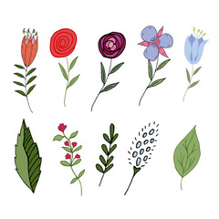 Collection of wild meadow flowers and leaves in doodle style isolated on white background. Pink, blue, red flowers with green leaves. Vector illustration. Hand drawing.