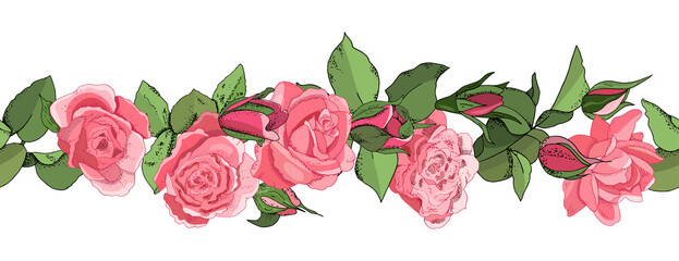 Flowers seamless border isolated on white background. Hand drawn illustration of roses