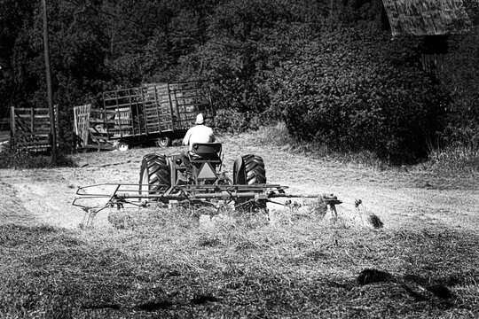 B&W, Black and White of a local farmer raking the hay field and preparing it for bailing here in the small town of Windsor in Broome County in Upstate NY.