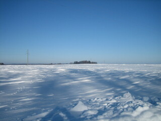 Obraz premium Clear snow field on a clear frosty day. Only in the distance, on a flat horizon, is the forest visible.