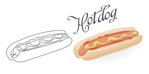 Hotdog, sausage in a bun, poured ketchup and mustard. Vector color illustration and burger sketch hand drawing. for menu, postcard or page coloring