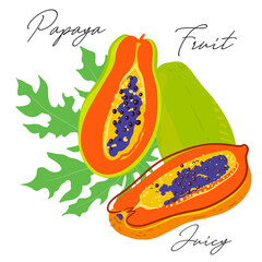 The papaya fruit is simplified, stylized for logo, design, backgrounds, patterns. Vector illustration, handmade, full color.