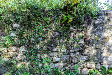 Walls of History
Castle of Tomar, Tomar, Portugal