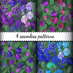 Vector set of seamless floral pattern, summer background. African violets
