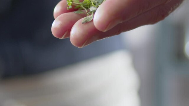 Hand sprinkling oregano in slow motion,Putting oregano on food pasta, slow motion particles, 60 fps slow-motion closeup side view