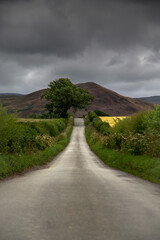 The Road
Scotland