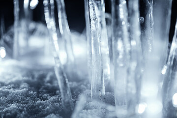 Close up icicles standing in snow at dark night