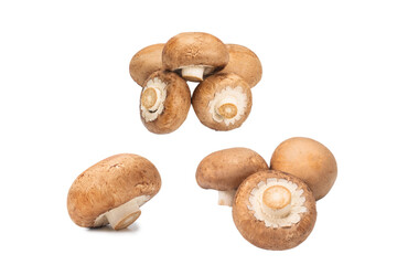 Tasty mushroom isolated on white background.