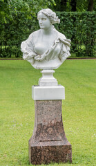 Obraz premium Tsarskoye Selo in the rain, Saint-Petersburg
