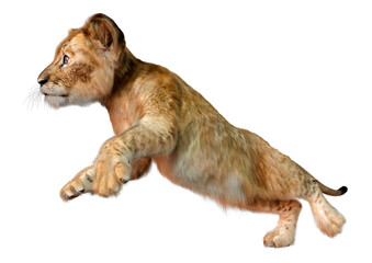 3D Rendering Lion Cub on White