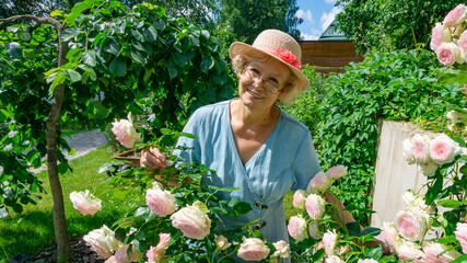 A charming senior lady gardener in glasses and a sun hat admires the roses she has grown in the garden.  A traditional hobby for retired women. Happy old age and retirement concept.