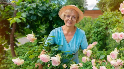 Foto op Canvas Portrait of a senior gardener lady  with glasses and a hat for a magazine about gardening and landscape design. Beautiful elderly woman in her roses garden. Gardening as a hobby for a retired woman. © nieriss