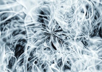 Fototapeta premium 抽象的な煙の渦