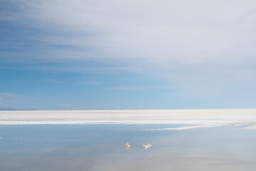 Tranquille Landscape At Salar De Uyuni With Soft Clouds And Reflections In The Water