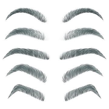 Various types of eyebrows. Fashion eyebrows of various shapes and types. Black eyebrow pack. Black eyebrows isolated on white background. Vector illustration