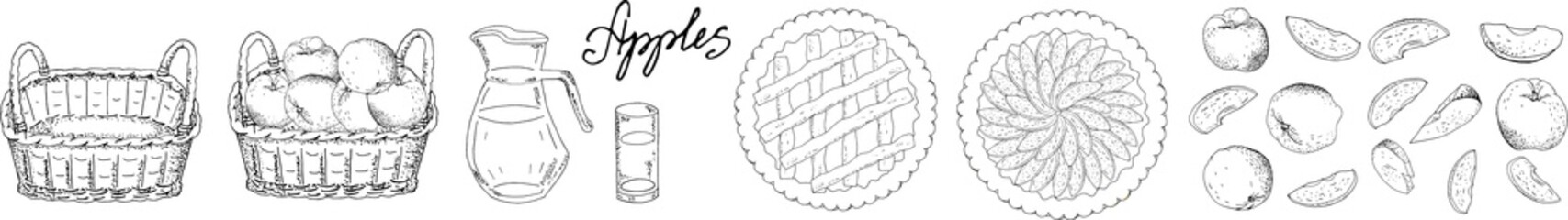 Set of apples, apple slices. Hand drawn food illustration.