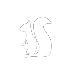 Squirrel cute forest animal, vector illustration