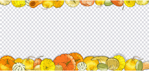 Set of autumn elements isolated on white background. Pumpkins, leaves, acorns, pumpkin pie.