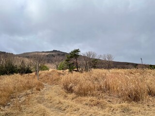 clouds over the field