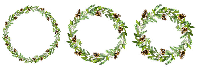 Vector christmas seamless border with mistletoe, spruce cone, spruce branches